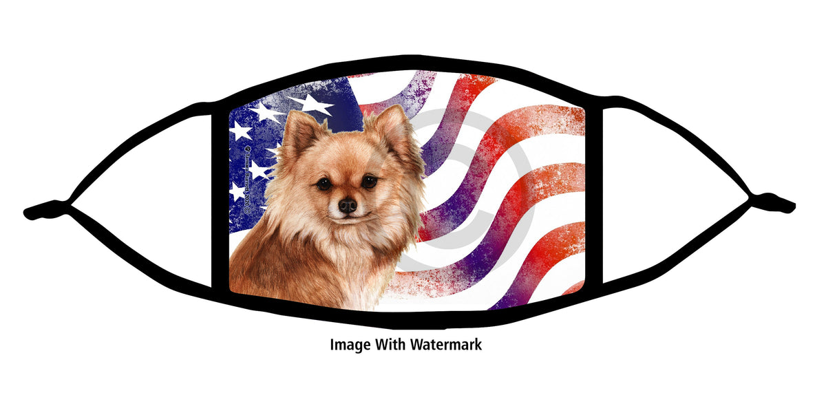 Chihuahua (Longhaired, Red) Face Mask