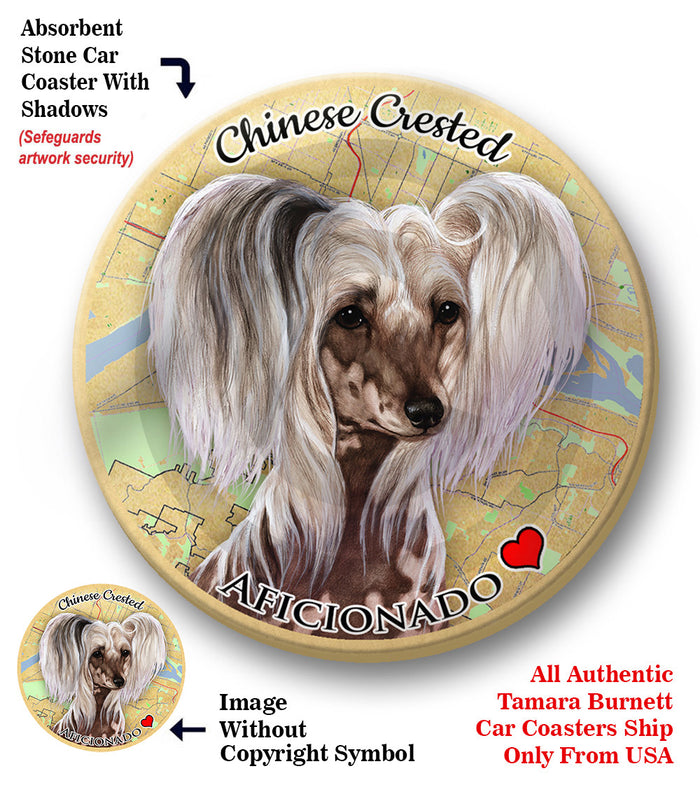 photo of Chinese Crested