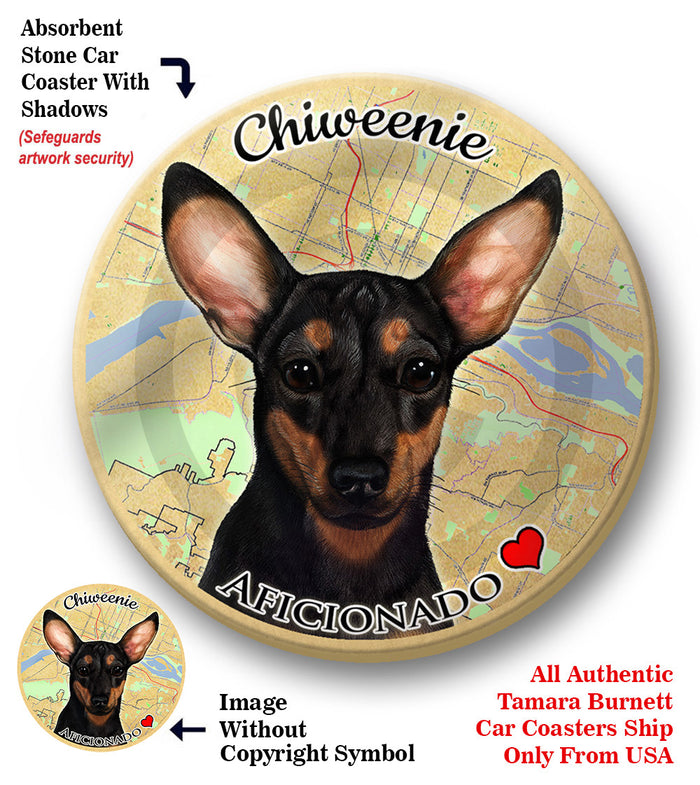 photo of Chiweenie