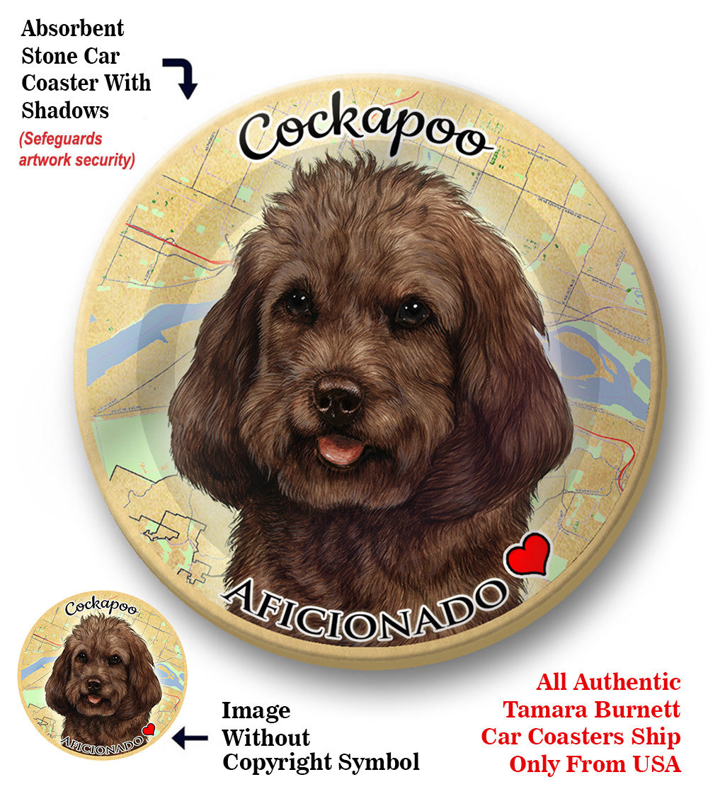 photo of Cockapoo