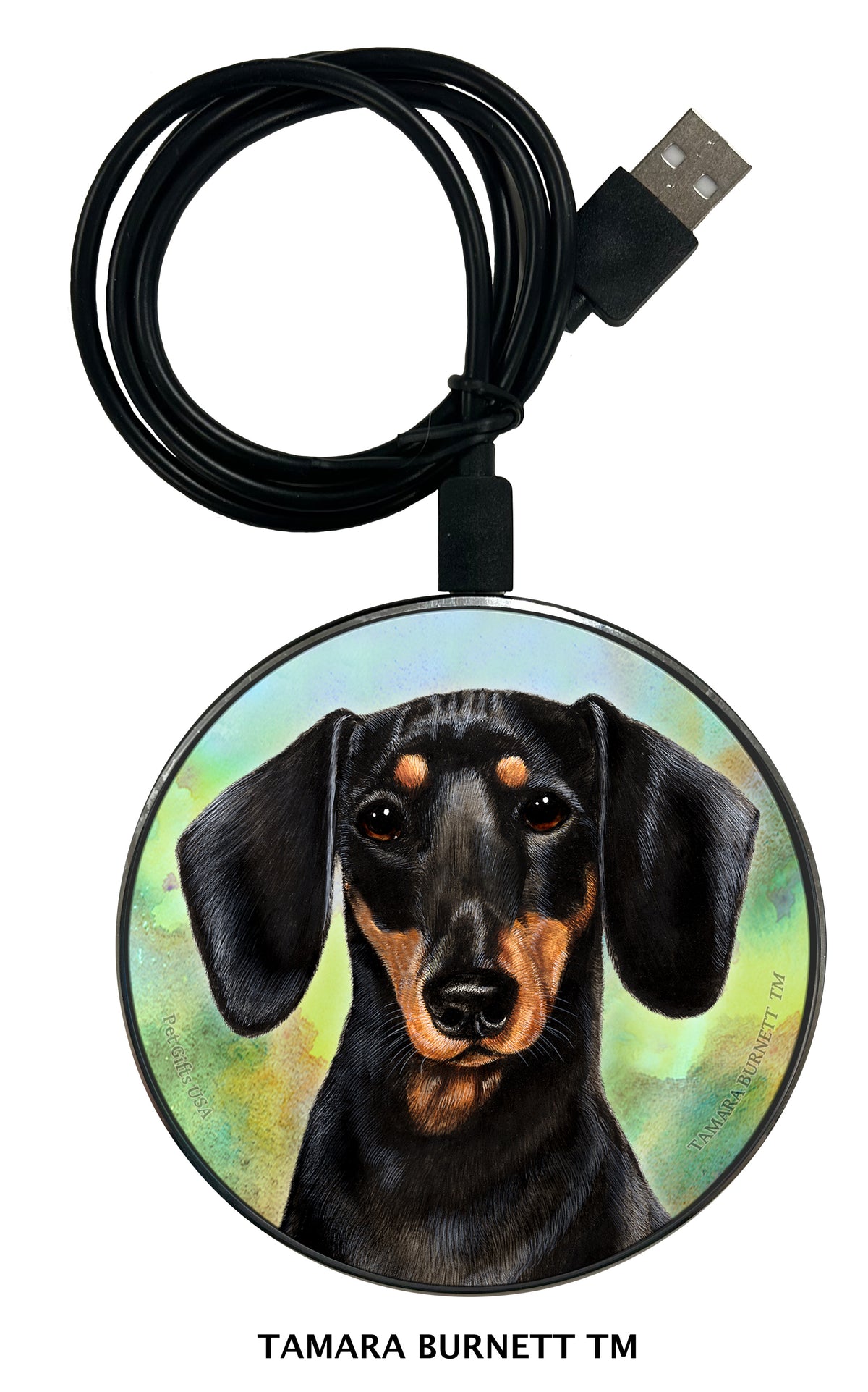 Dachshund Shorthair Black and Tan Zoomies Wireless Charger