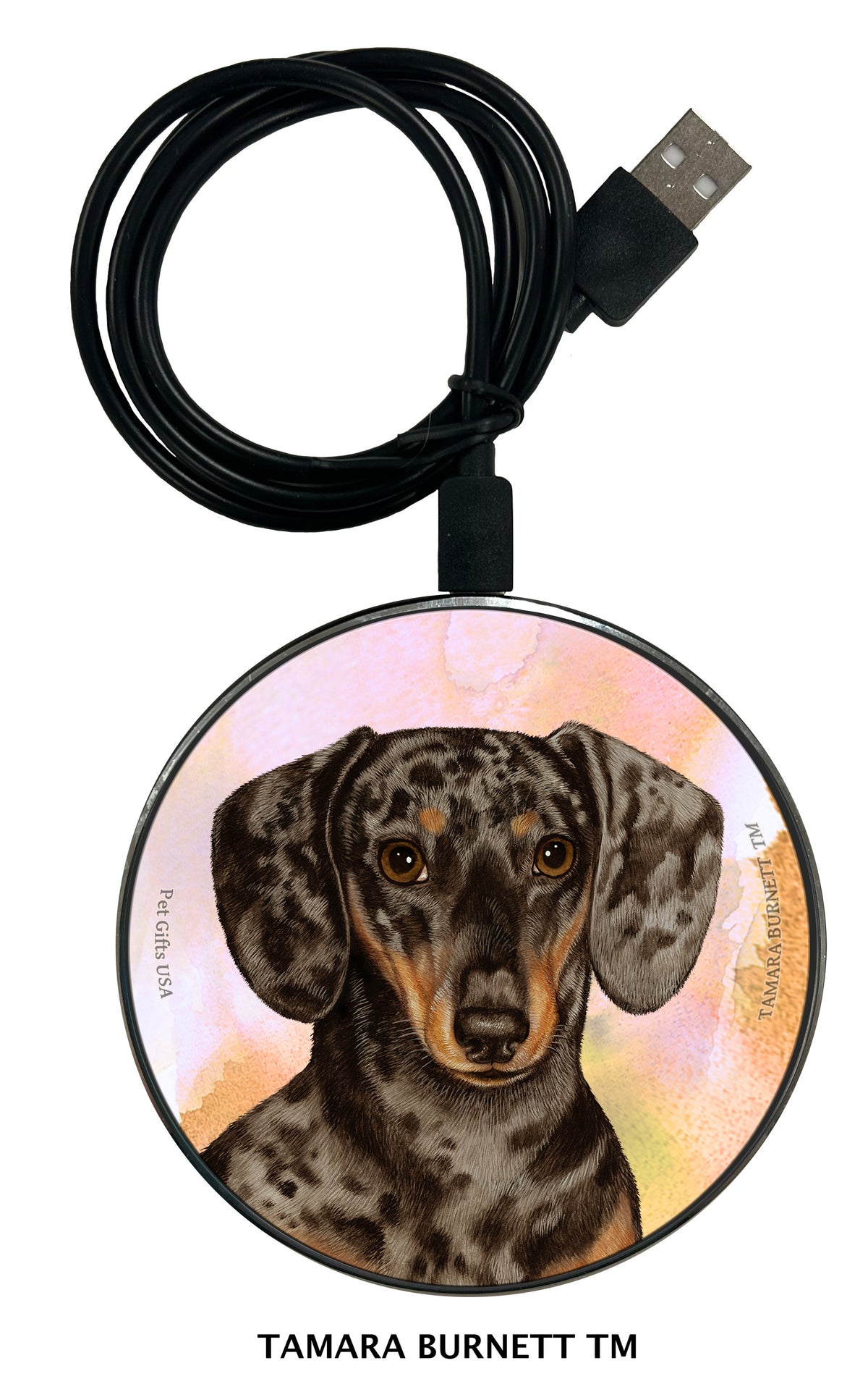 Dachshund Shorthair Dapple Chocolate and Tan Zoomies Wireless Charger