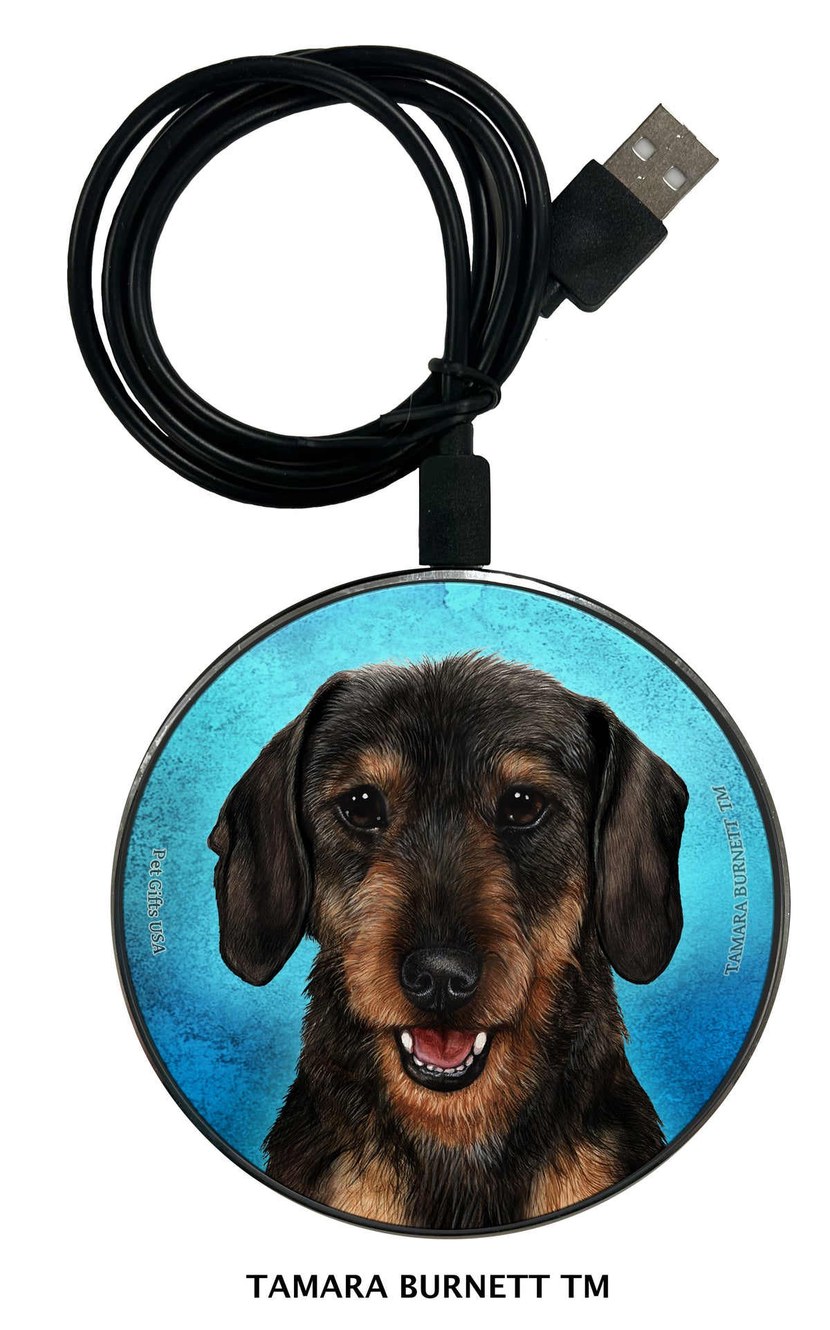 Dachshund Wirehair Black and Tan Zoomies Wireless Charger