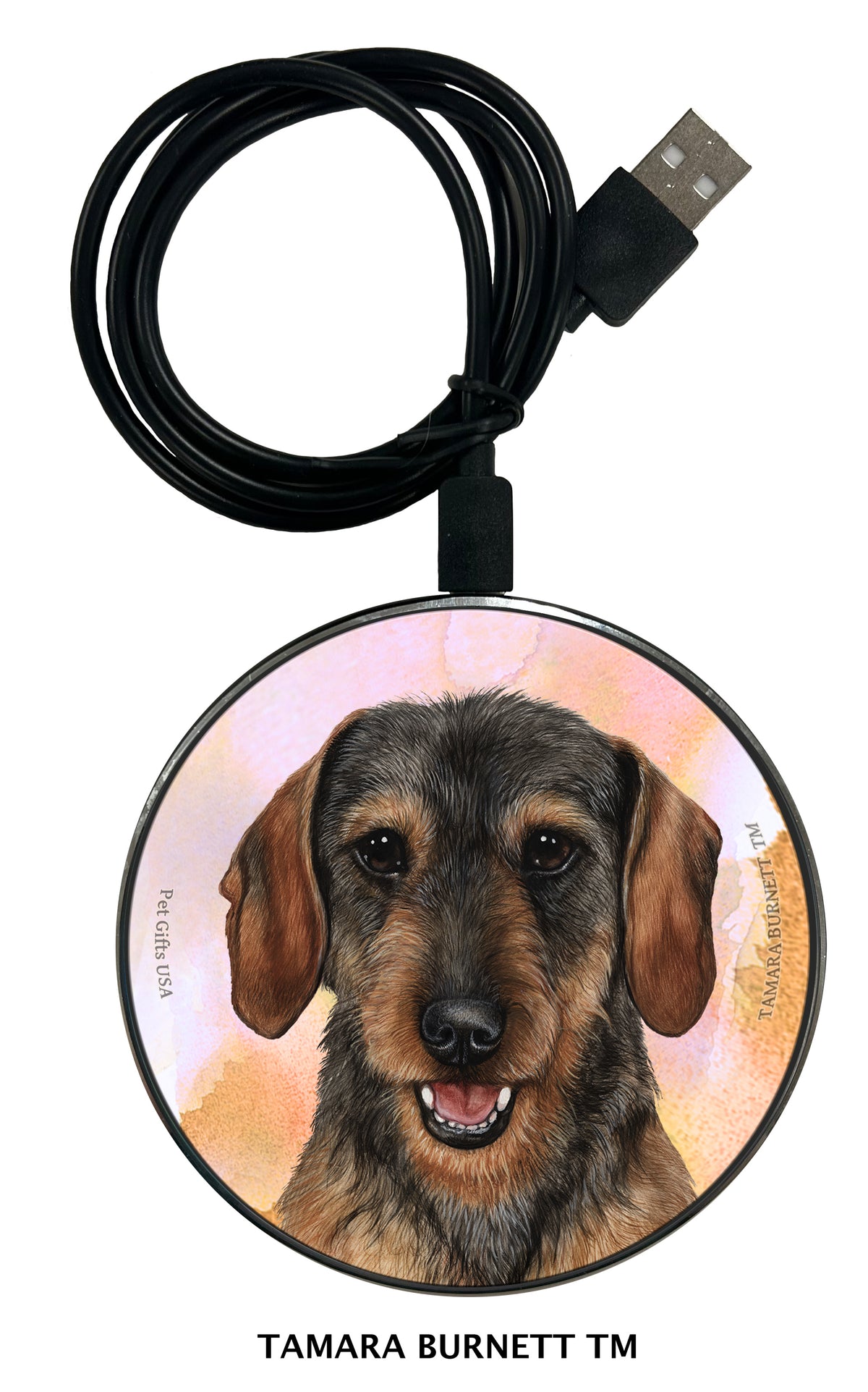 Dachshund Wirehair Wild Boar Zoomies Wireless Charger