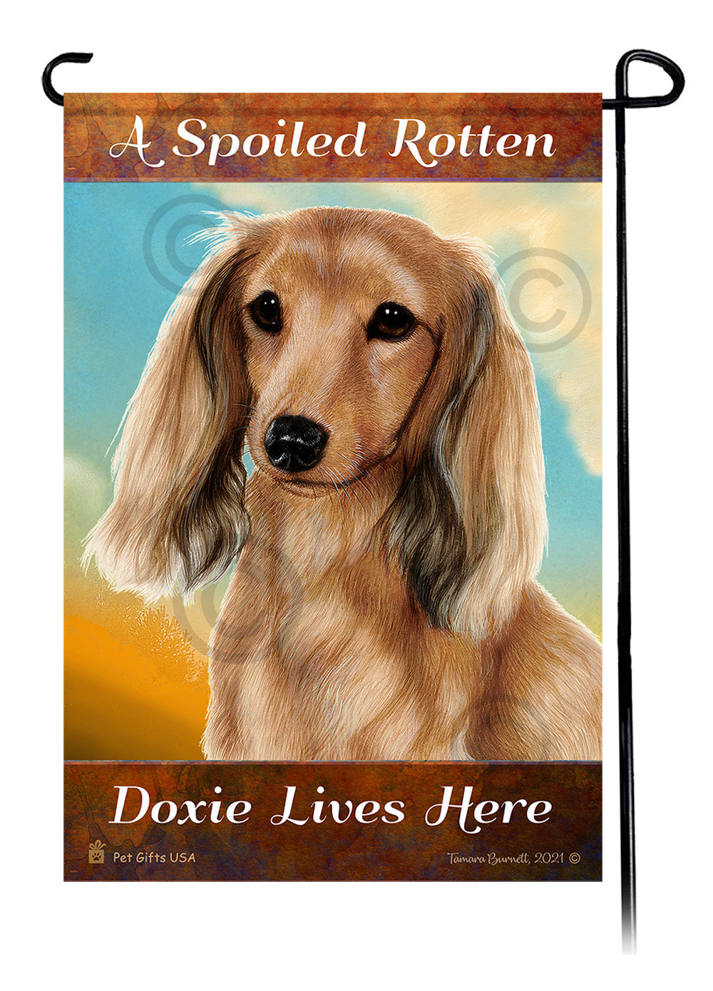 Dachshund Long Hair English Cream