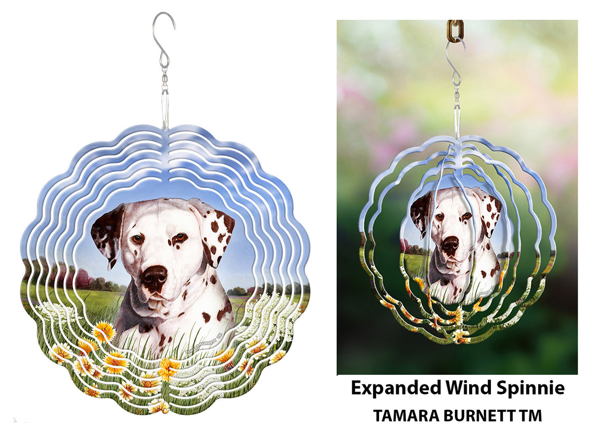 Dalmatian Liver and White Wind Spinner