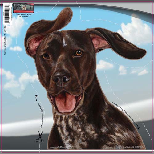 German Shorthaired Pointer Window Cling