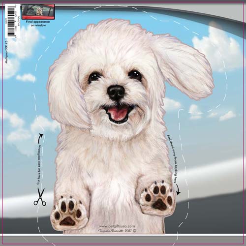 Maltipoo Window Cling