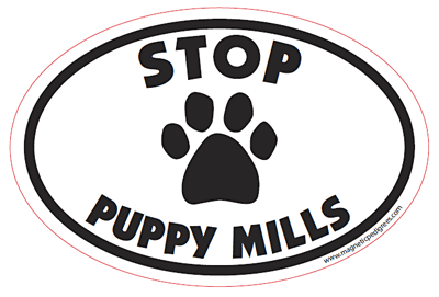  Rescue Paw Shaped Magnets