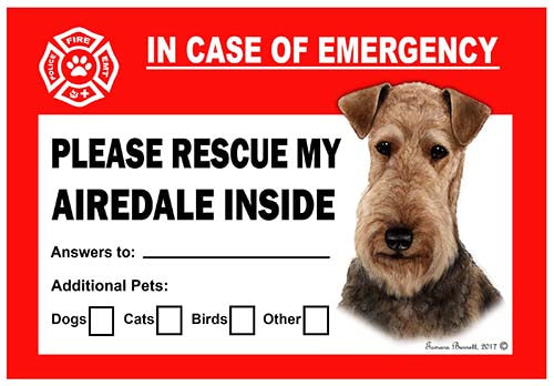 Airedale Emergency Cling