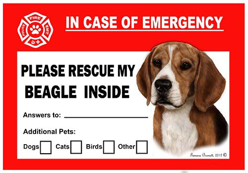 Beagle Emergency Cling