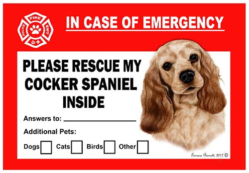 Cocker Spaniel Emergency Cling