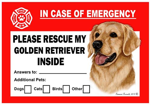 Golden Retriever Emergency Cling