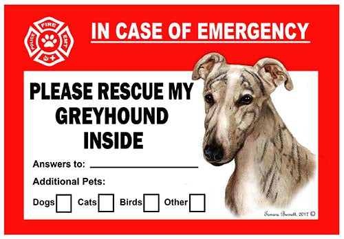 Greyhound Emergency Cling