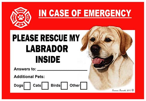 Labrador Retriever Yellow Emergency Cling