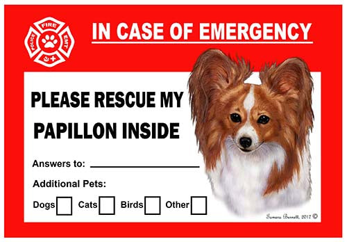 Papillon Emergency Cling