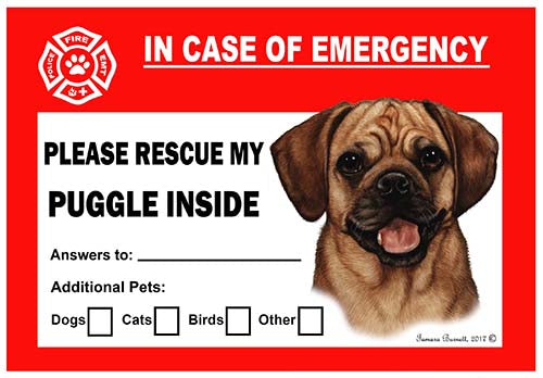 Puggle Emergency Cling