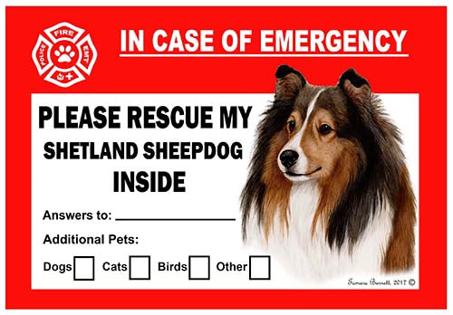 Sheltie Emergency Cling