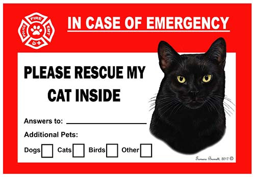 Emergency