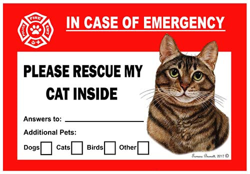 Tabby Cat Brown Emergency Cling