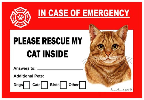 Tabby Cat Orange Emergency Cling