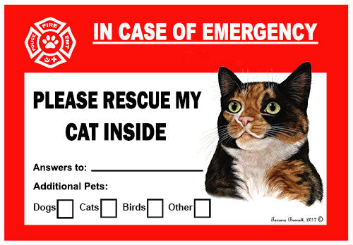 Tortoiseshell Cat Emergency Cling