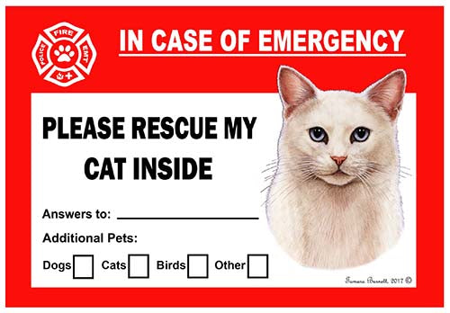 White Cat Blue Eyes Emergency Cling