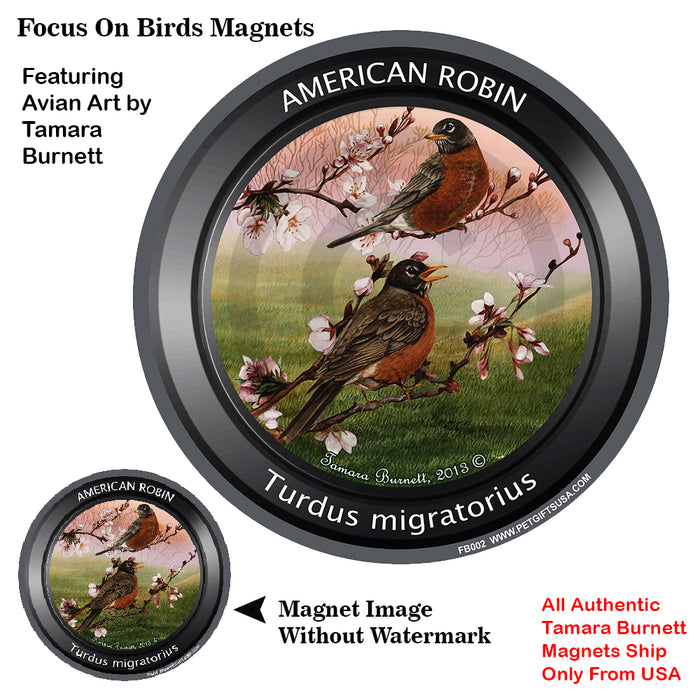 American Robin Bird Watcher Magnets