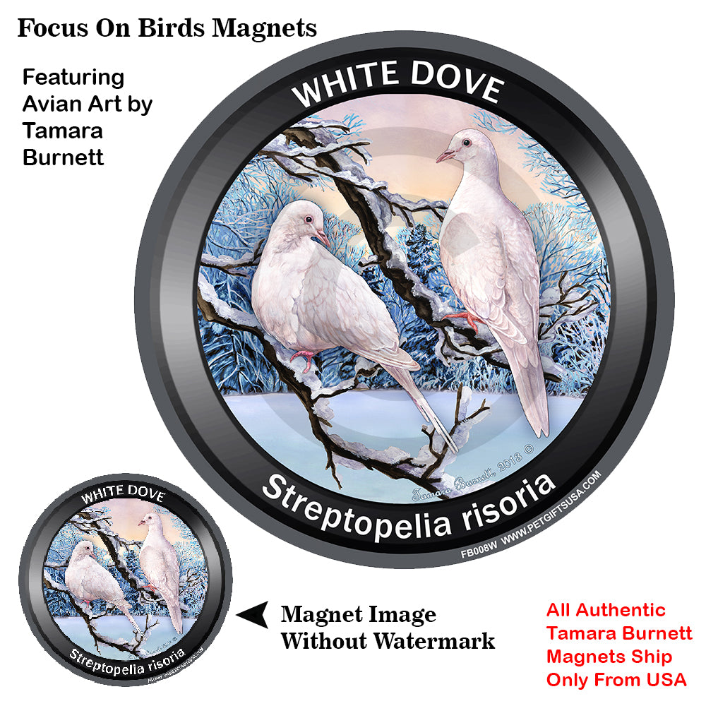White Doves Bird Watcher Magnets