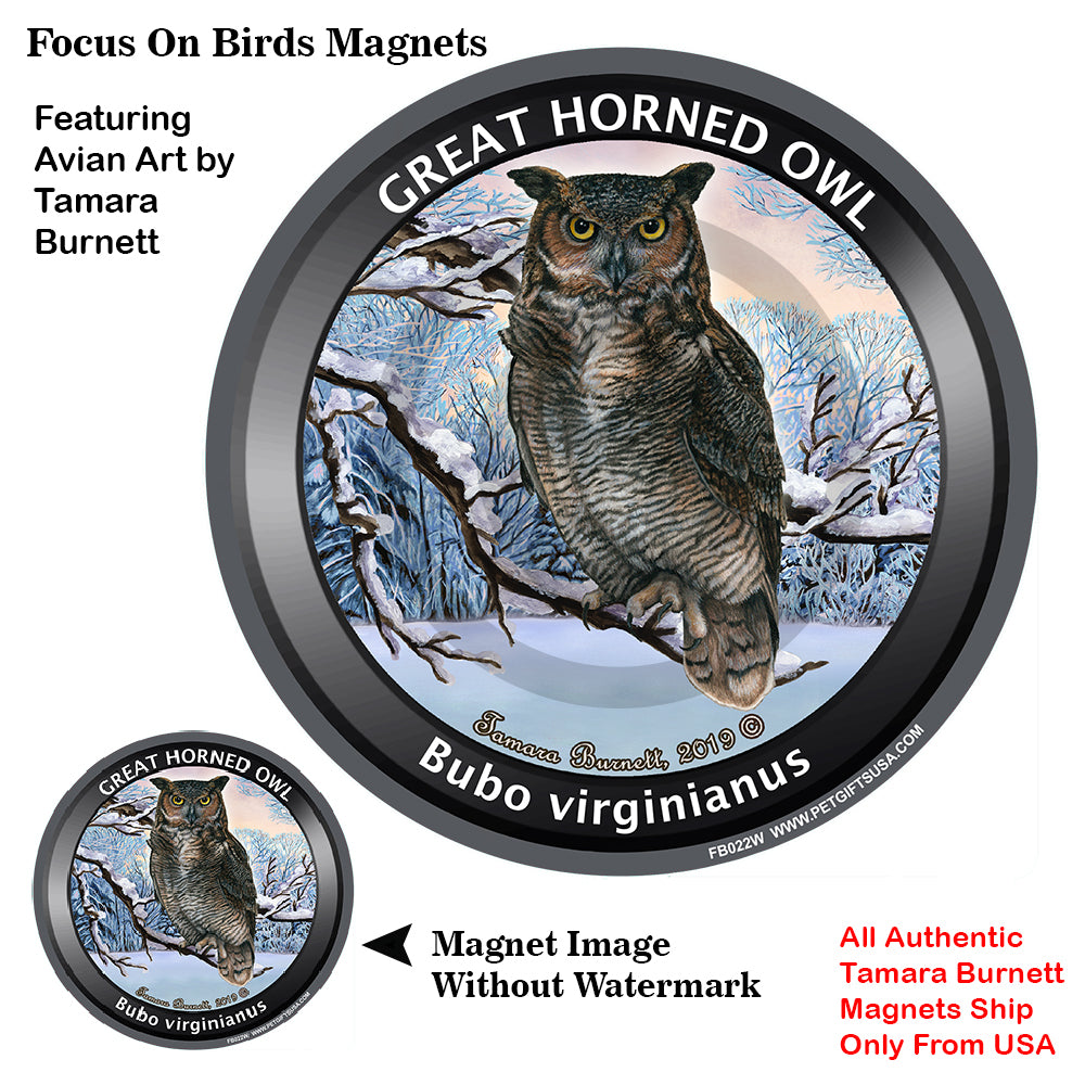 Great Horned Owl Bird Watcher Magnets