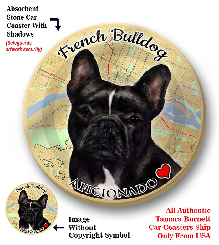 photo of French Bulldog