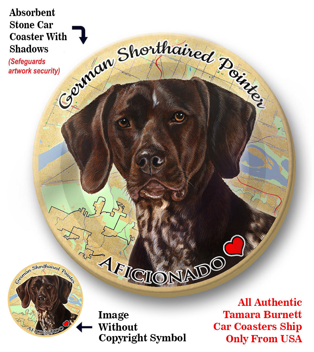 photo of German Shorthaired Pointer