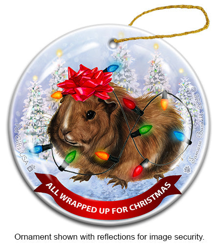 Guinea Pig Abyssinian All Wrapped Up Ornament