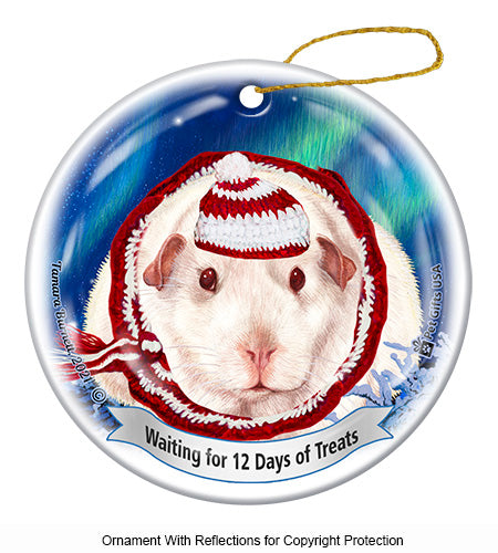 Fancy Rat Pink Eyed White Ornament