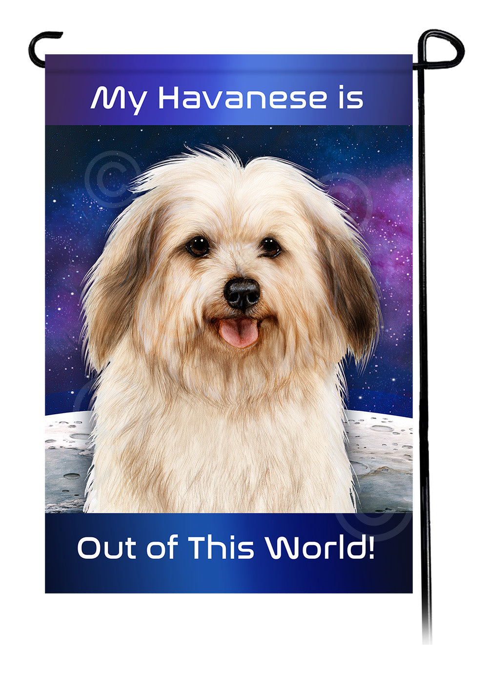Black Sable Ferret Out Of This World Garden Flags