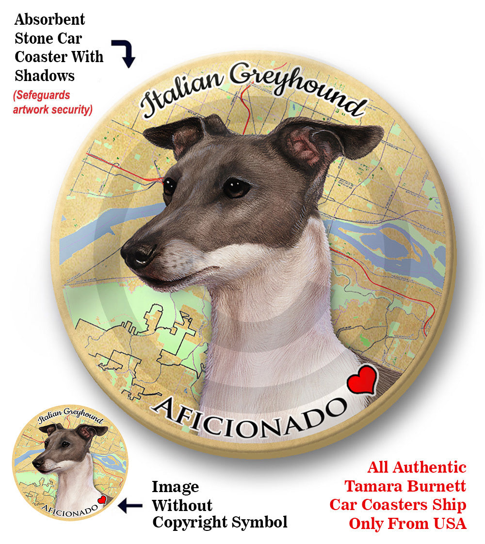 photo of Italian Greyhound