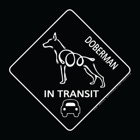 Doberman Pinscher K-Lines In Transit Magnets