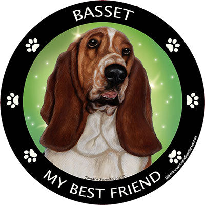 Basset Hound My Best Friend Magnets