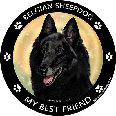 Belgian Sheepdog My Best Friend Magnets