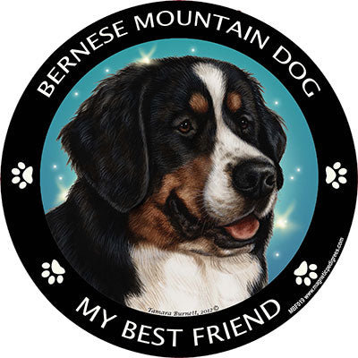 Bernese Mountain Dog My Best Friend Magnets