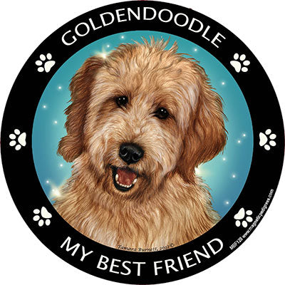 Goldendoodle My Best Friend Magnets