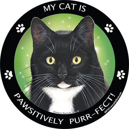 Tuxedo Cat My Best Friend Magnets