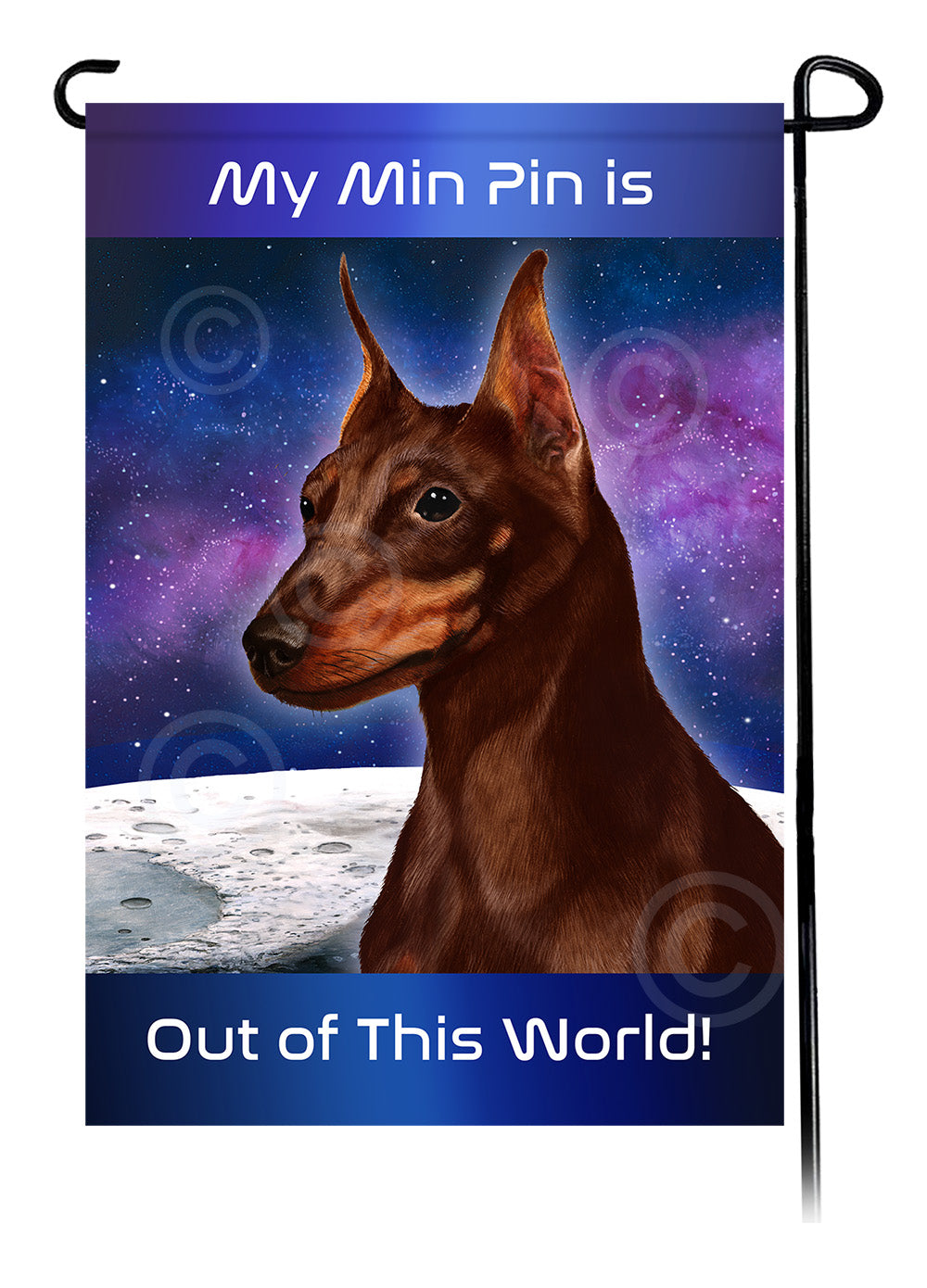  Out Of This World Garden Flags
