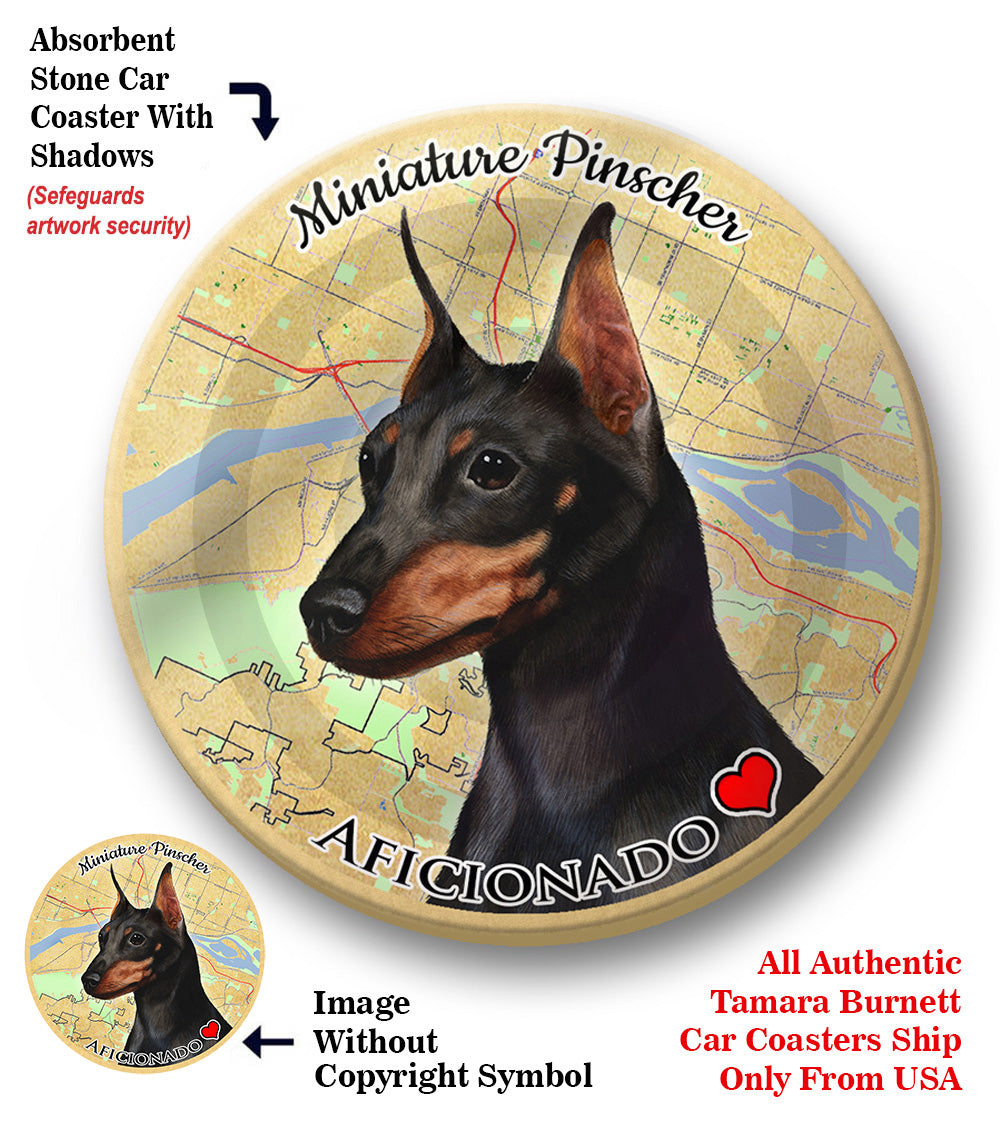 photo of Miniature Pinscher