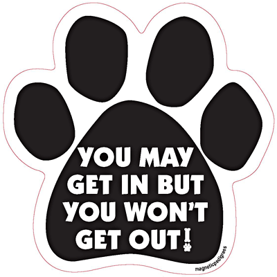  Dog Paw Shaped Magnets