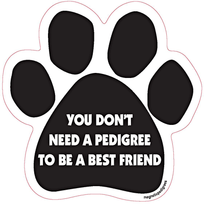  Dog Paw Shaped Magnets