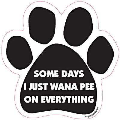  Dog Paw Shaped Magnets