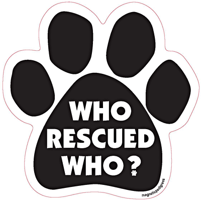  Rescue Paw Shaped Magnets