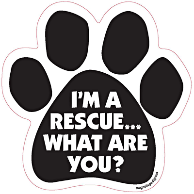  Rescue Paw Shaped Magnets