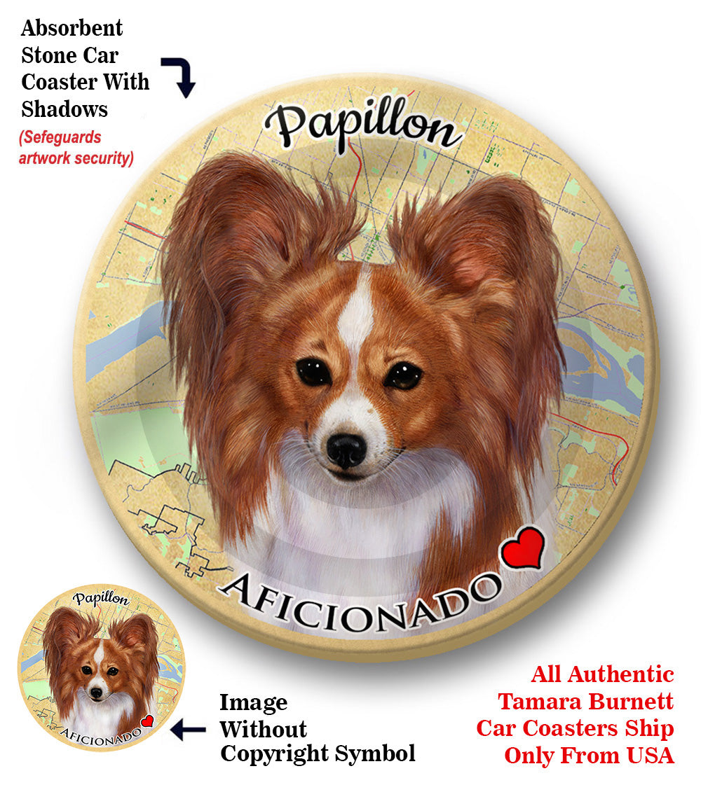 photo of Papillon